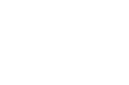 VIGO